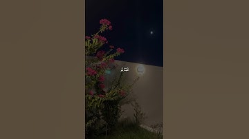 راحة نفسية💕حالات واتس اب قرأن💕مقاطع دينية قصيرة آيات قرانية||ستوريات انستا#يوم_الجمعة