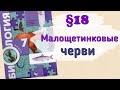 Краткий пересказ §18 Малощетинковые черви. Биология 7 класс Константинов