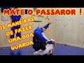 JIUJITSU PARA MATAR O PASSADOR 12 TIPOS DE GUARDA  -  FEU BJJ