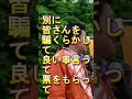 【参政党】街頭演説 神谷宗幣 国民の質問に答える 誰か変わってください　#Shorts