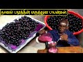 நாவல் பழத்தின் மருத்துவ பயன்கள் | How to prepare Jamun Fruit juice | Best Drink 🥤 for Sugar Control