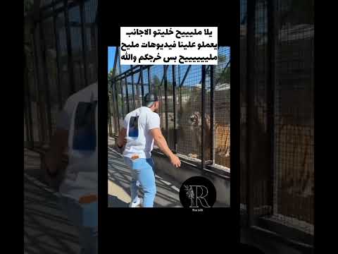 الاسد بروح امك افتحلي الاجنبي معو حق والله انو اوووو شو قوي متتت من ردت فعلوووو اكسبلور