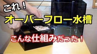 オーバーフロー水槽　セッティング！　「グラステリアAGS」