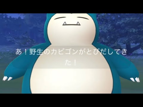 野生のカビゴン出現 パイルの実チャレンジで捕獲ー Youtube