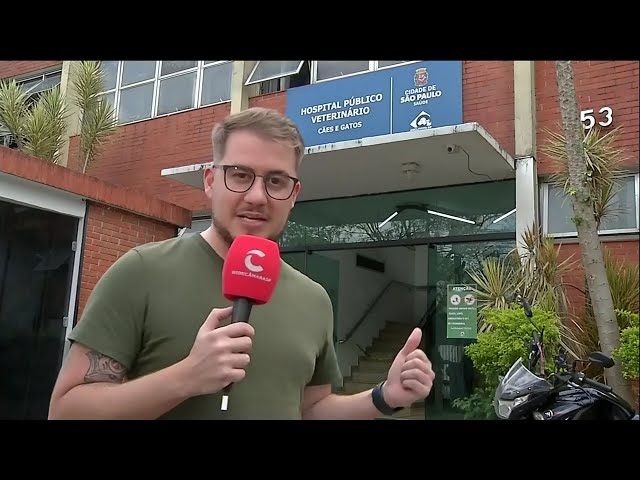 Comissão do Meio Ambiente realiza diligências em hospitais veterinários de SP