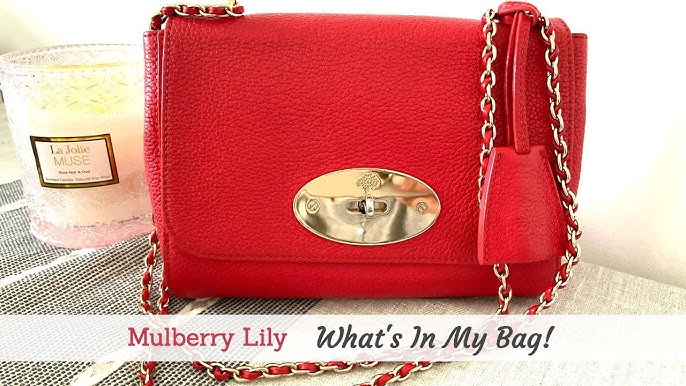 Mulberry Mushroom Grey Grainy Leather Medium Lily Bag - Yoogi's Closet