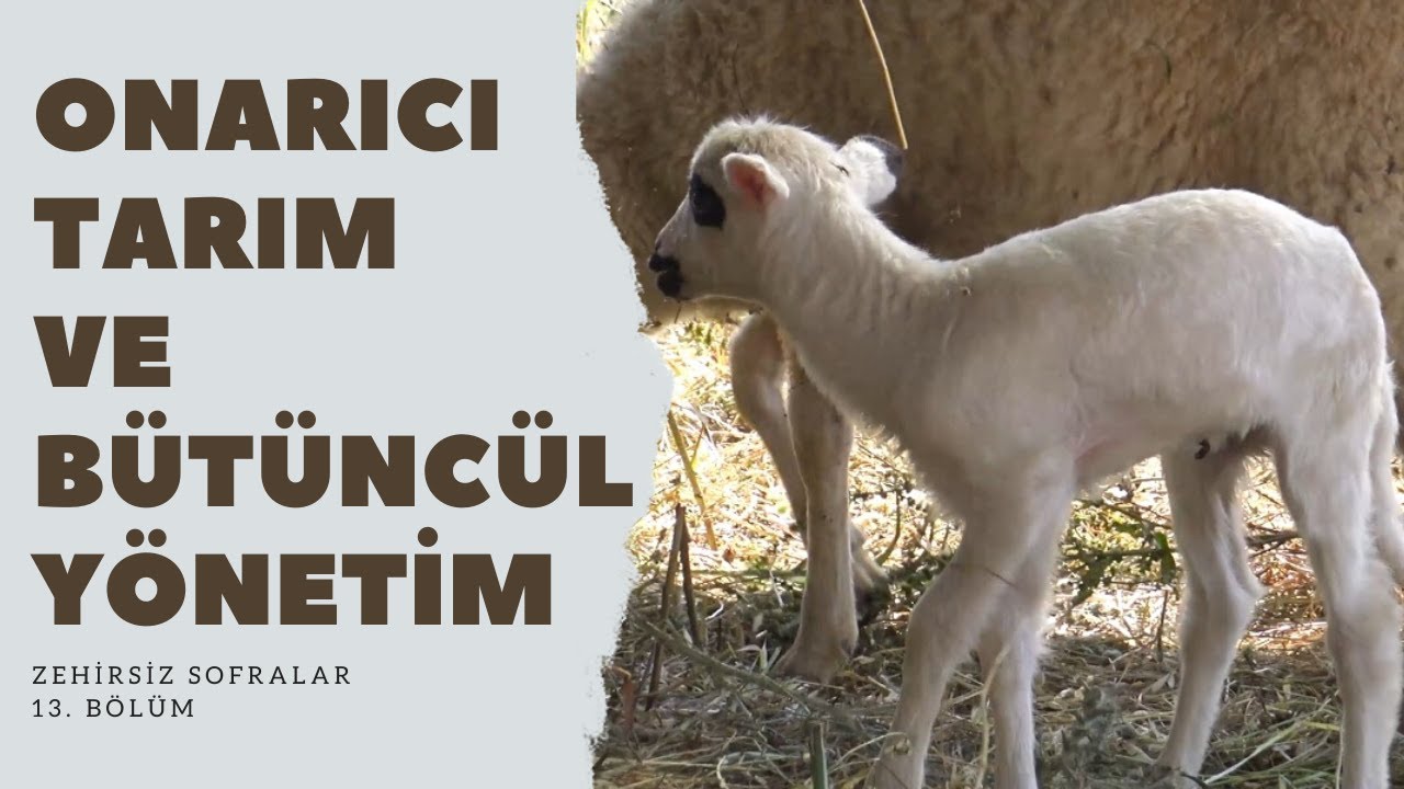 Zehirsiz Sofralar; Onarıcı Tarım ve Bütüncül Yönetim