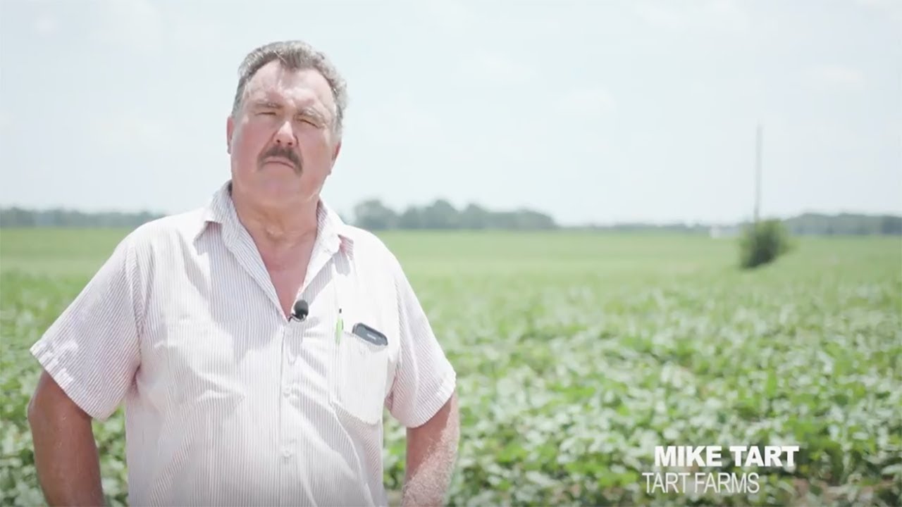 My Ingles Story - Mike Tart | Tart Farms - YouTube