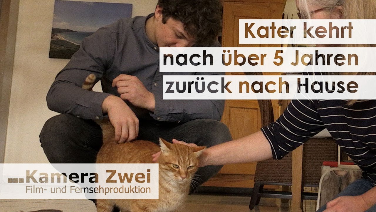 Kater kehrt nach über 5 Jahren zurück nach Hause | Kamera Zwei