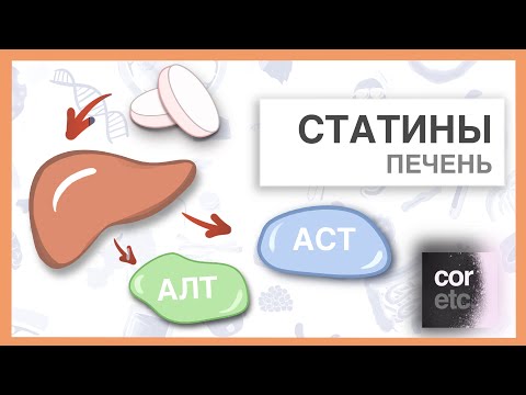 Побочные действия статинов: печень