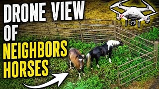 MAJOR DEVELOPMENT: neighbors horses