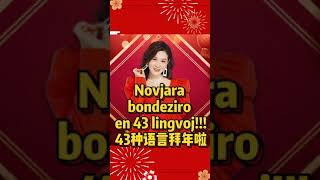 Novjara bondeziro en 43 lingvoj! Happy new year in 43 languages!43种语言给您拜年啦!