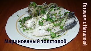 Простой рецепт Маринованный толстолобик. КАК ЗАМАРИНОВАТЬ ТОЛСТОЛОБИКА Простой рецепт Маринованный толстолобик. КАК ЗАМАРИНОВАТЬ ТОЛСТОЛОБИКА