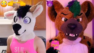 young vs old furries (stereotypes!)