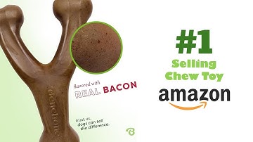 Dog Chew Toy Review: Benebone Wishbone