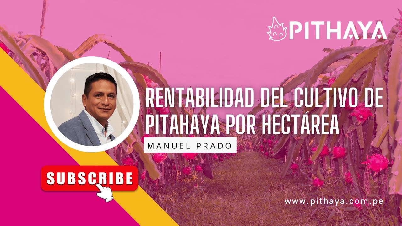 Rentabilidad del cultivo por hectárea