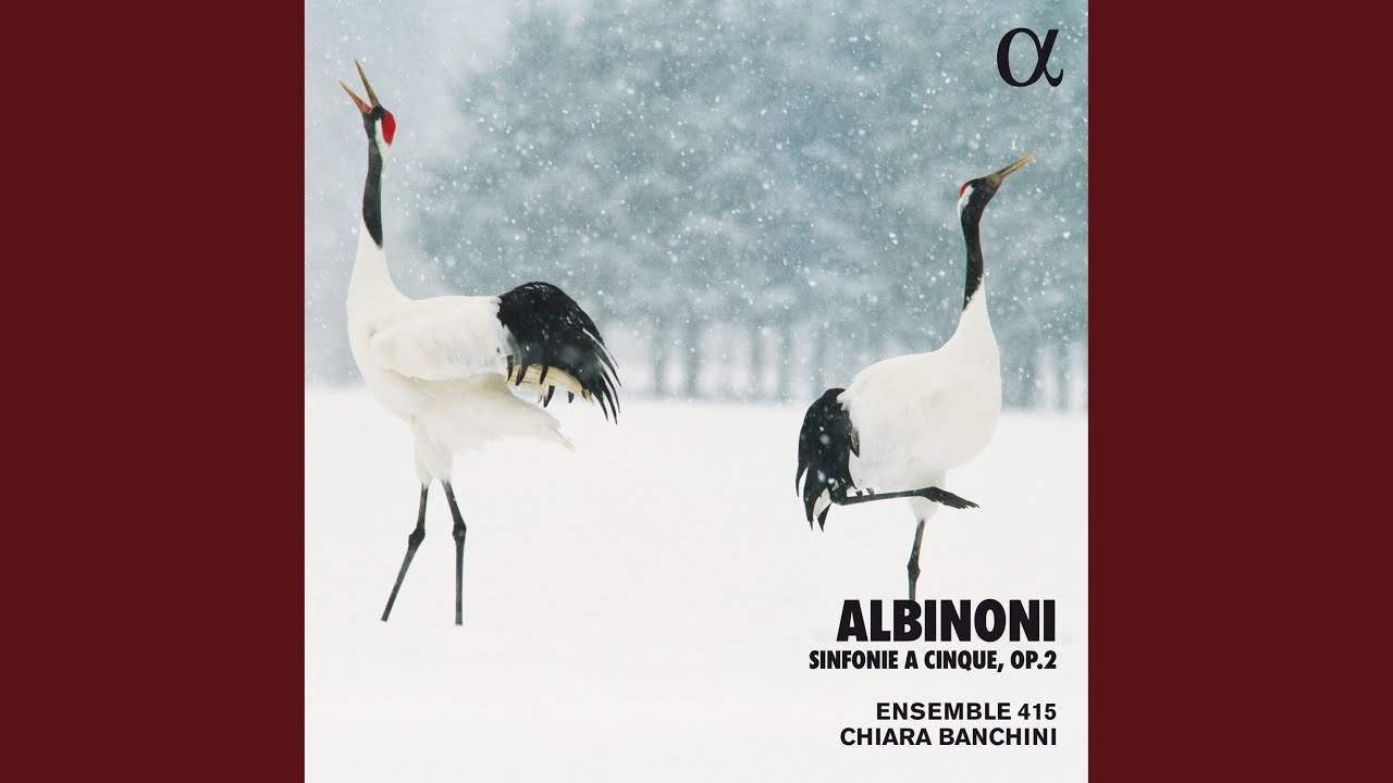 Tonton Sinfonie a cinque per due violini, alto, tenore, violoncello e basso, Op. 2. Sonata a cinque in... di YouTube Tonton Sinfonie a cinque per due violini, alto, tenore, violoncello e basso, Op. 2. Sonata a cinque in... di YouTube