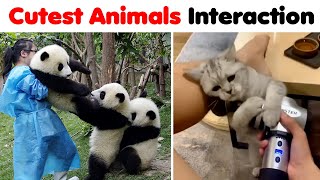 When Animals Did Things And Melted Everyone&#39;s Hearts 💚 ▶ 04