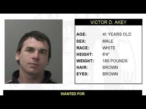 Warrant Wednesday June 1, 2016 - YouTube
