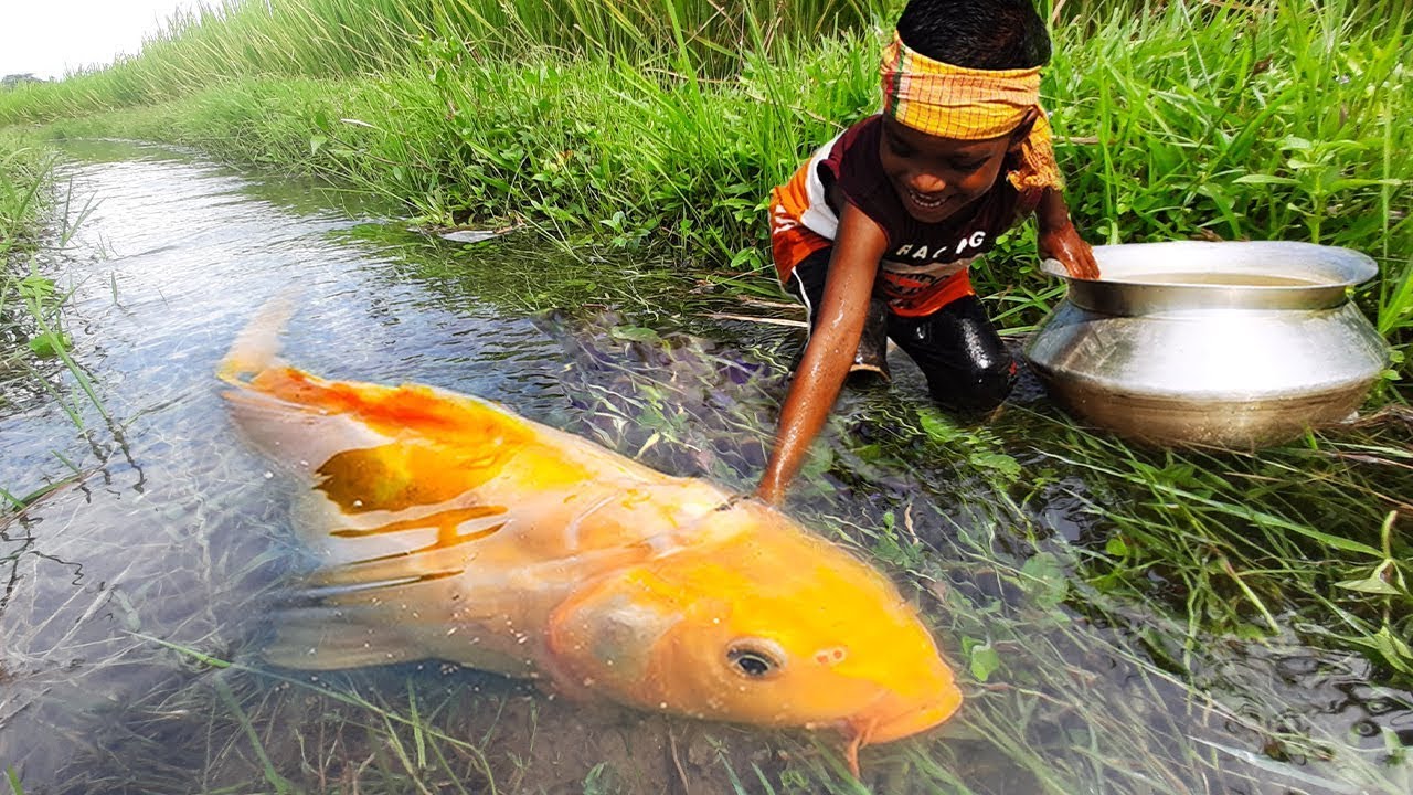 Amazing Traditional Little Boy Catching Fish By Hand ! Fishing Video