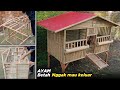 Membuat kandang ayam BERATAP SEDERHANA | Simple chicken cage