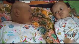 ngobrol dengan kembaranya seperti bercermin 🤩