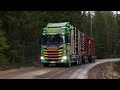 76-Tonnen-Holztransporte mit dem neuen 770 PS starken Scania V8