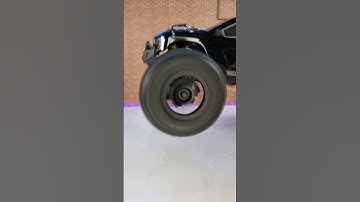 Omni-Terminator from Rlaarlo is a Beast!