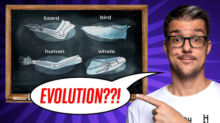 Do Homology and Phylogenetics REALLY Support Darwin’s Tree of Life? (Basics of ID Biology, Ep. 4)