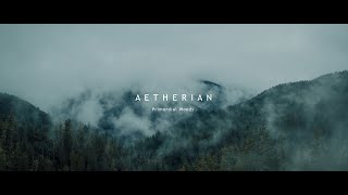 AETHERIAN - Primordial Woods (OFFICIAL LYRIC VIDEO) feat. Sakis Tolis