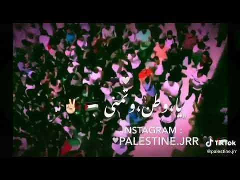 حالات واتس أب هبت النار والبارود غنى