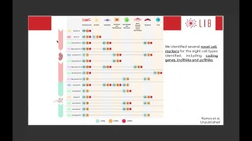 Human Cell Atlas 2020: Day 1 Session 5: Single cell transcriptional landscape (Espanol Version)
