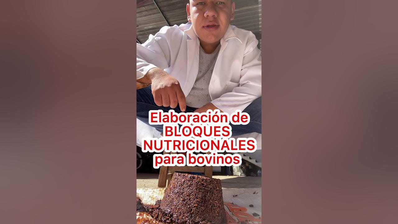 Como Hacer Un Bloque Nutricional Para Bovinos www.youtube.com