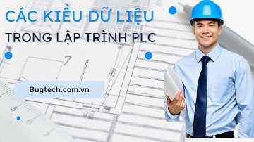 Các kiểu dữ liệu trong lập trình PLC