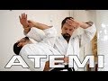 Aikido Atemi (当身) and Pressure Points - Striking Techniques and Kyusho - Gyakuhanmi Katatedori