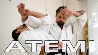 Aikido Atemi (当身) and Pressure Points - Striking Techniques and Kyusho - Gyakuhanmi Katatedori