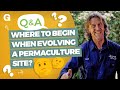 Where to begin when evolving a piece of land into a permaculture site