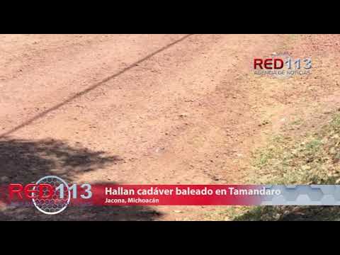 VIDEO Hallan cadáver baleado en Tamandaro