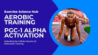 Aerobic Training and PGC-1 Alpha activation: Unlocking the Cellular Secrets of Endurance Training.