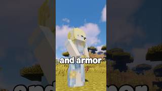 Did I JUST Get the BEST Custom Items in Minecraft?