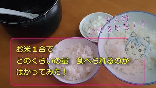 【主食ネタ】お米１合でどのくらいの量食べられるかはかってみた！炊けたご飯１合分をグラムやらお茶碗やらで計測してみたお話。【お米・白米・ご飯】