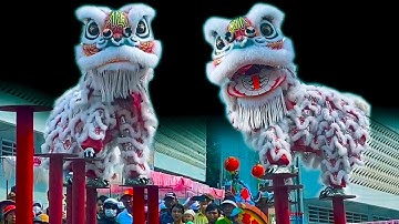 Múa Lân nhảy Mai Hoa Thung / LSR Hải Nam / Lễ hội Nghinh Ông TP. Phan Thiết 2024