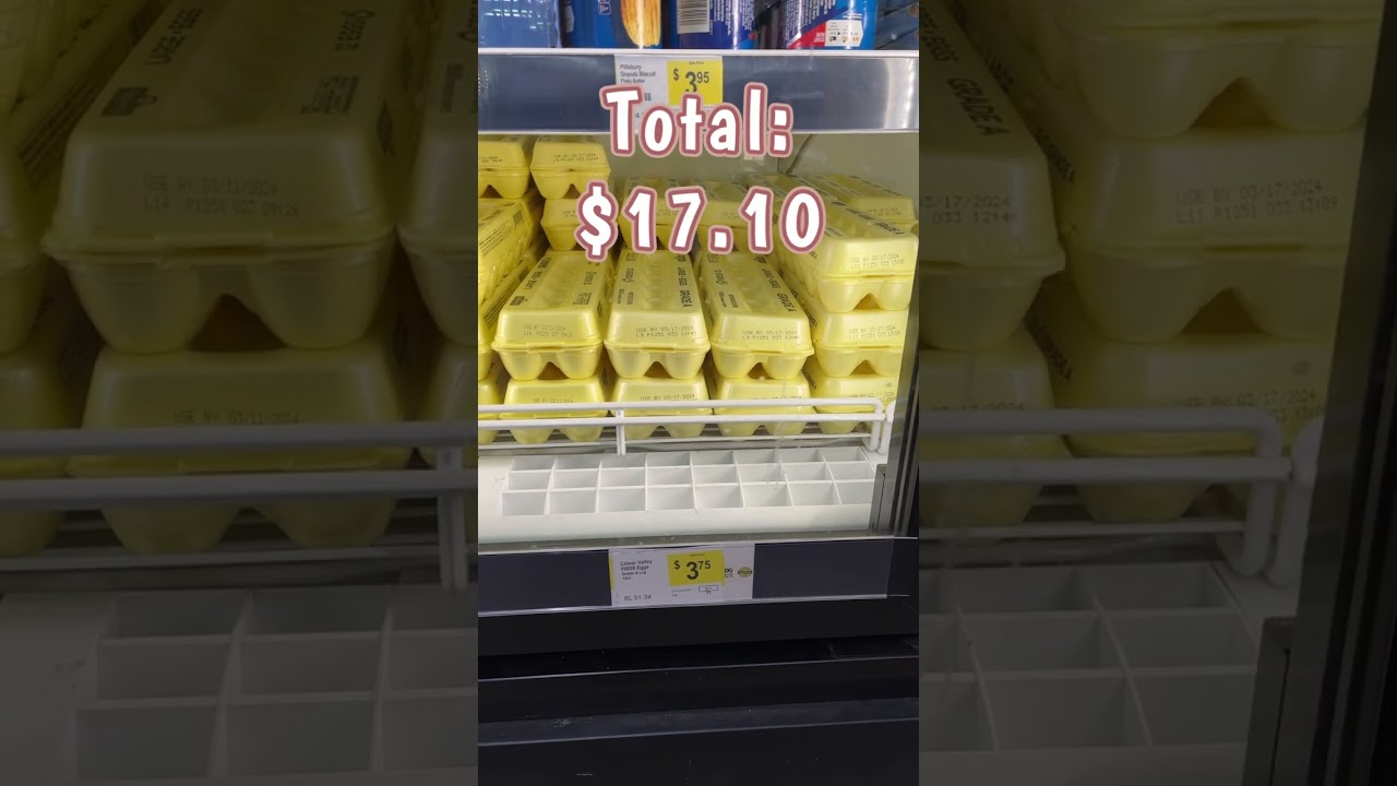 Бюджетный обед за 21 доллар на неделю в Dollar General #dollargeneralcoupons #budgetgroceryhaul