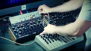DFAM TECHNO 344000 + subharmonicon and tr-06