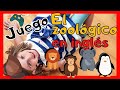 Juego de los animales del zoológico en inglés | Zoo quiz |  English for kids 🗽