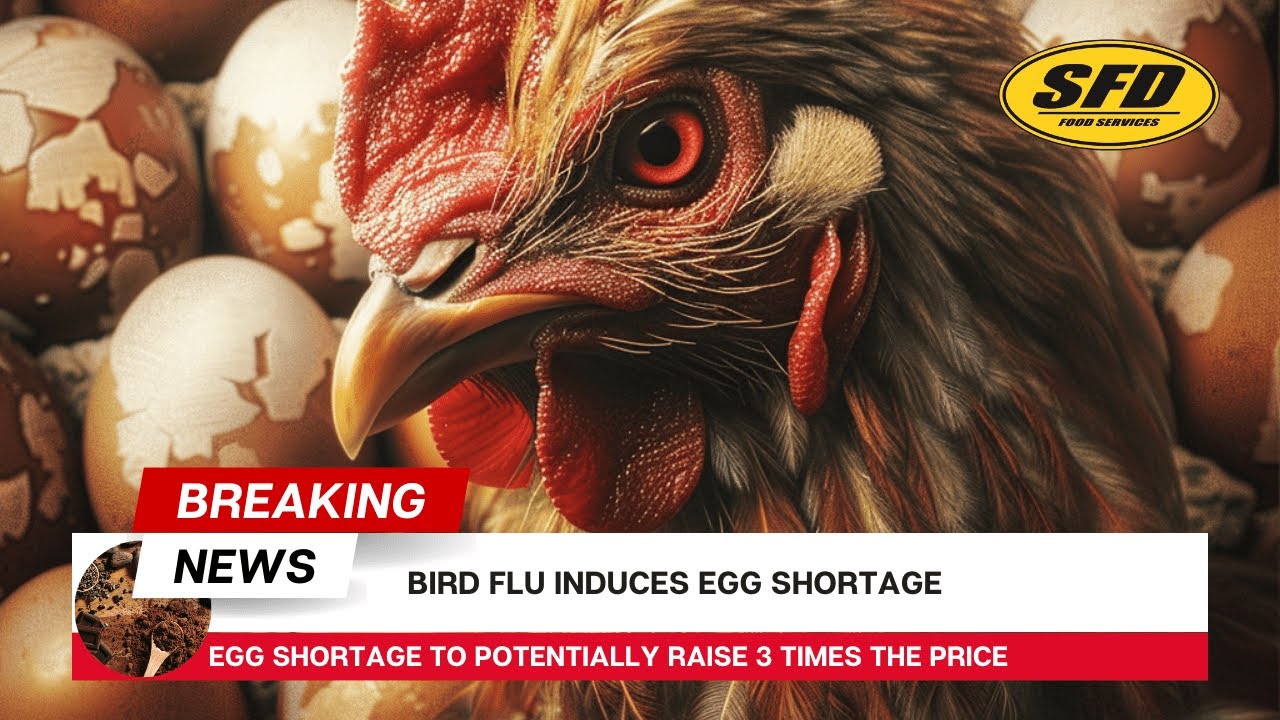 Egg Shortage Grips Australia Amid Bird Flu Outbreak - YouTube