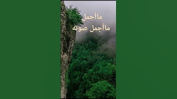 تلاوة لا توصف تقشعر لها الابدان 💙 بصوت القارئ احمد حمادي💙 مزمار من مزامير داوود