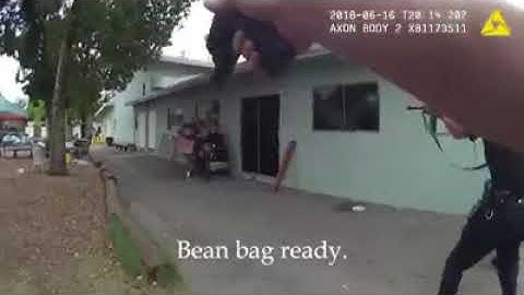 LAPD Hostage Situation