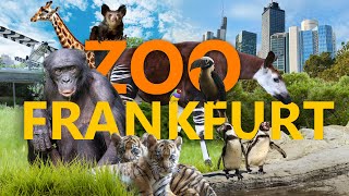 Zoo Frankfurt - Stadtzoo mit Zukunft? | Zoo-Eindruck