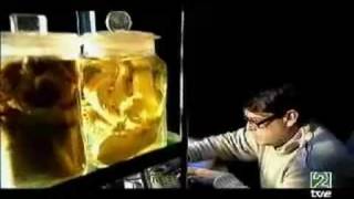 Los calamares gigantes de la fosa de Carrandi - Parte 2